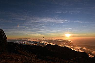 Focus 3850万美元收购《怒之铁拳4》开发商Dotemu